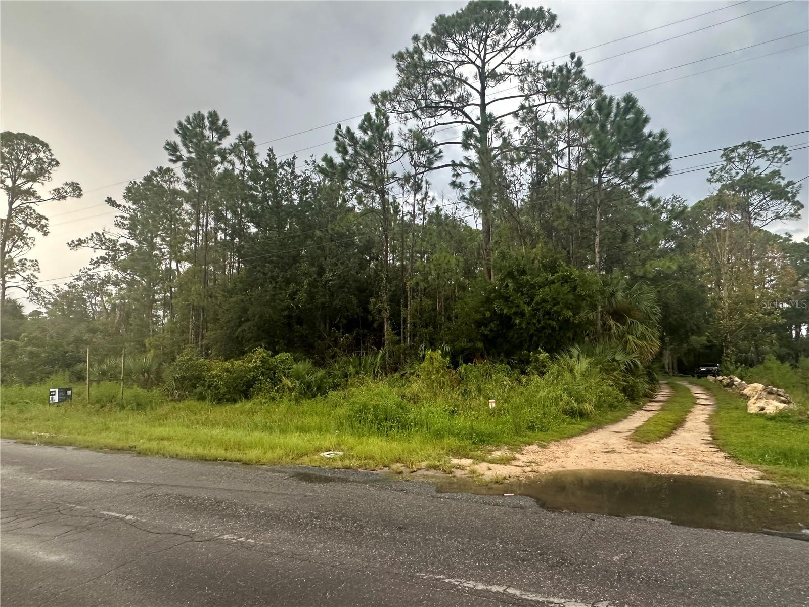 STEINHATCHEE SUB - Land