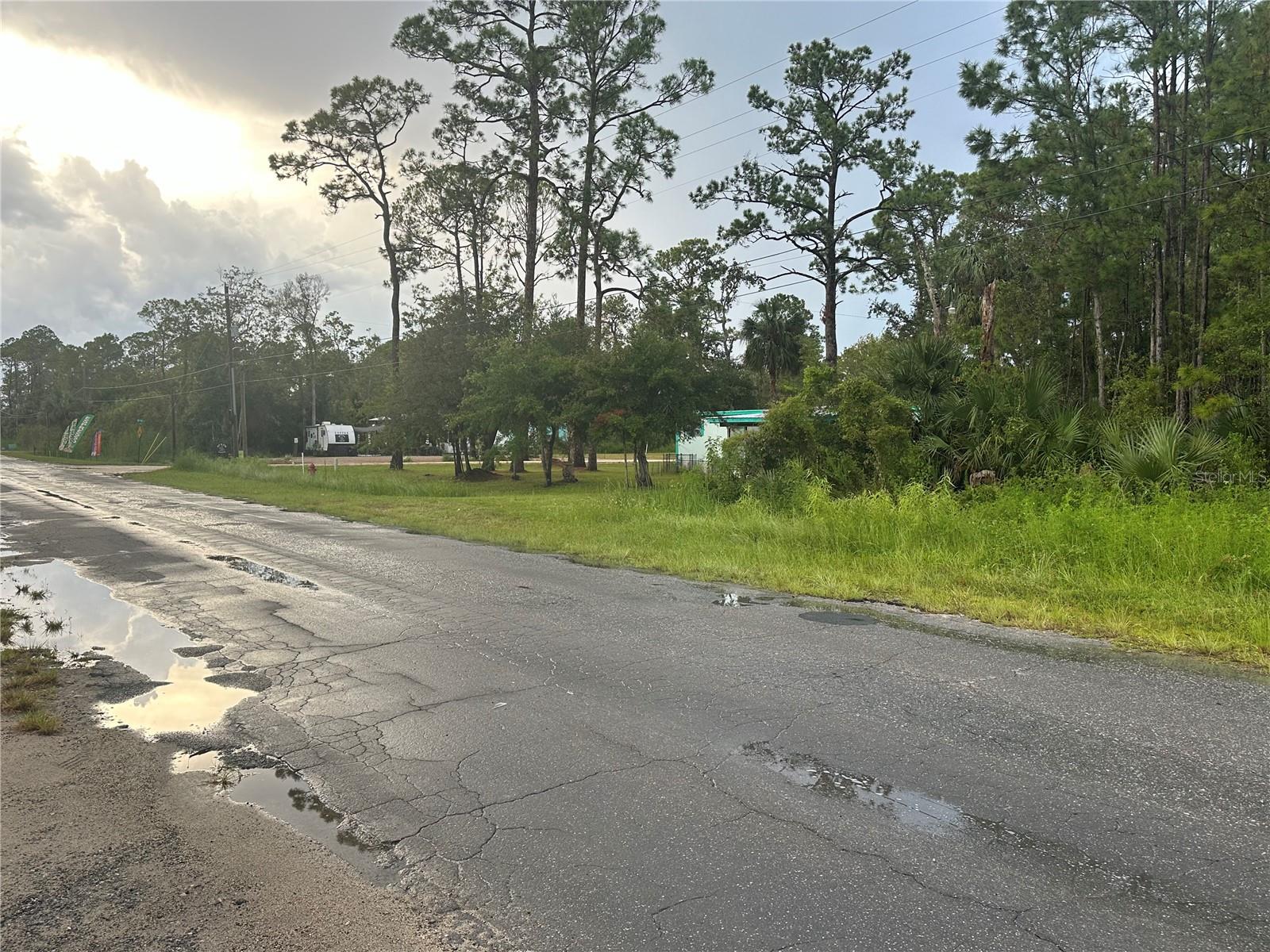STEINHATCHEE SUB - Land