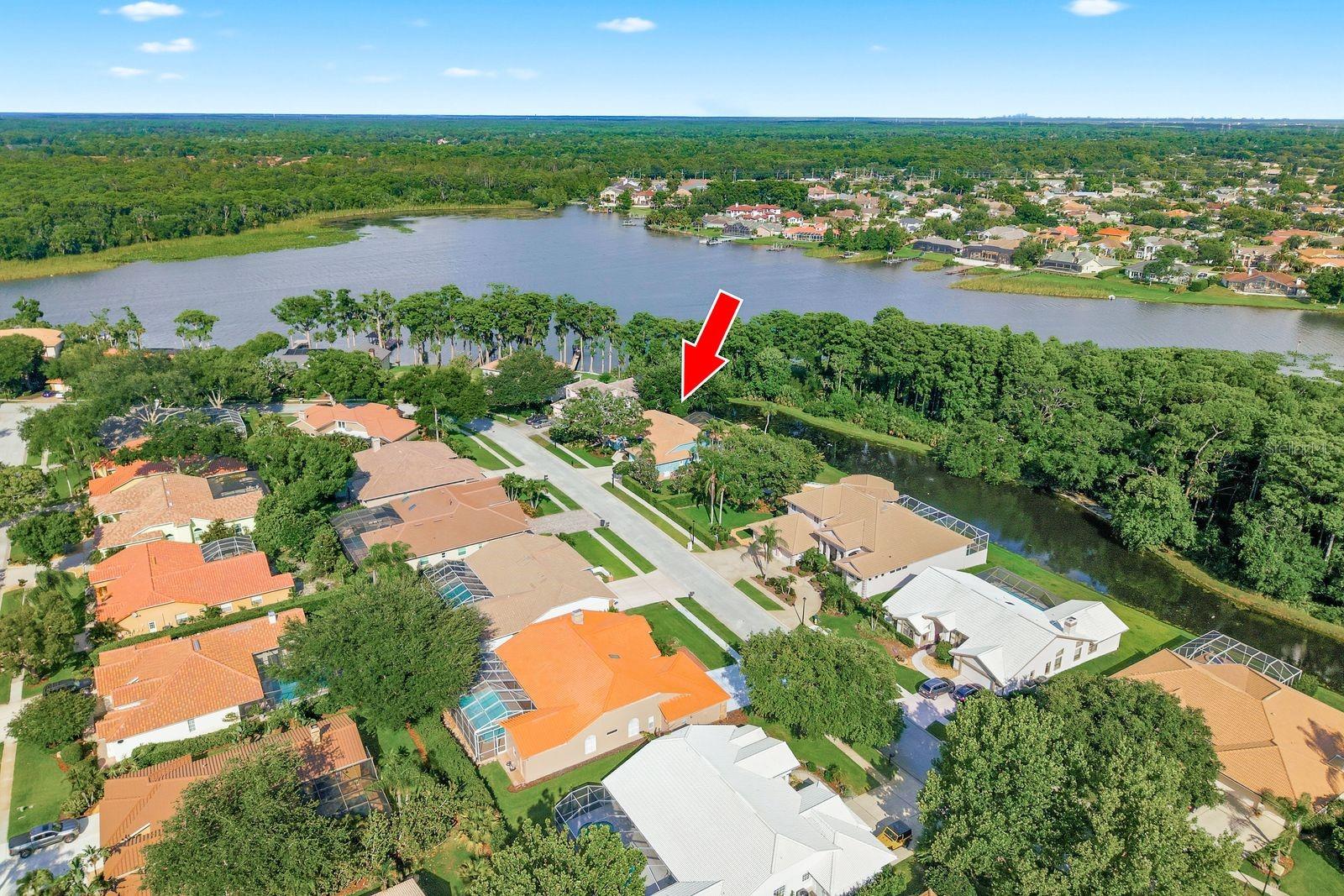 RESERVE AT LAKE TARPON THE - Residential