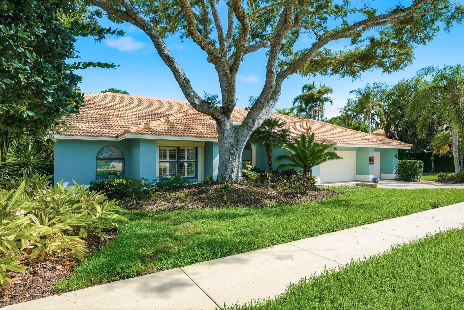 RESERVE AT LAKE TARPON THE - Residential