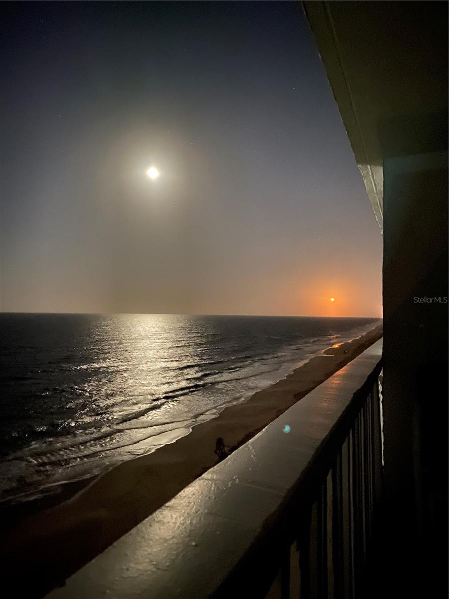 AQUARIUS OCEANFRONT - Residential