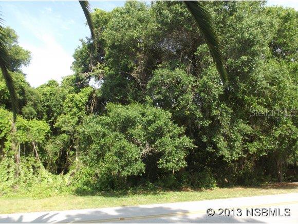 Enjoy the privacy of one of very few remaining wooded lots in Spruce Creek Fly-In. This large lot, which includes a wooded conservation reserve, affords you plenty of usable space to build your home. Owner's general plans for a wonderful home are available and the owner will consider financing. Close to good schools, shopping and interstate freeways, Spruce Creek Fly-In is a gated community with 24-house staffed security, an optional membership country club and a private 4,000 ft paved runway. Building plans must be approved by Property Owners Association and restrictions may apply. Annual POA fee of $1,350. Don�t miss out on this opportunity to own a great lot in one of the area�s most prestigious communities.; Cleared: No ;Water: Available at Site
