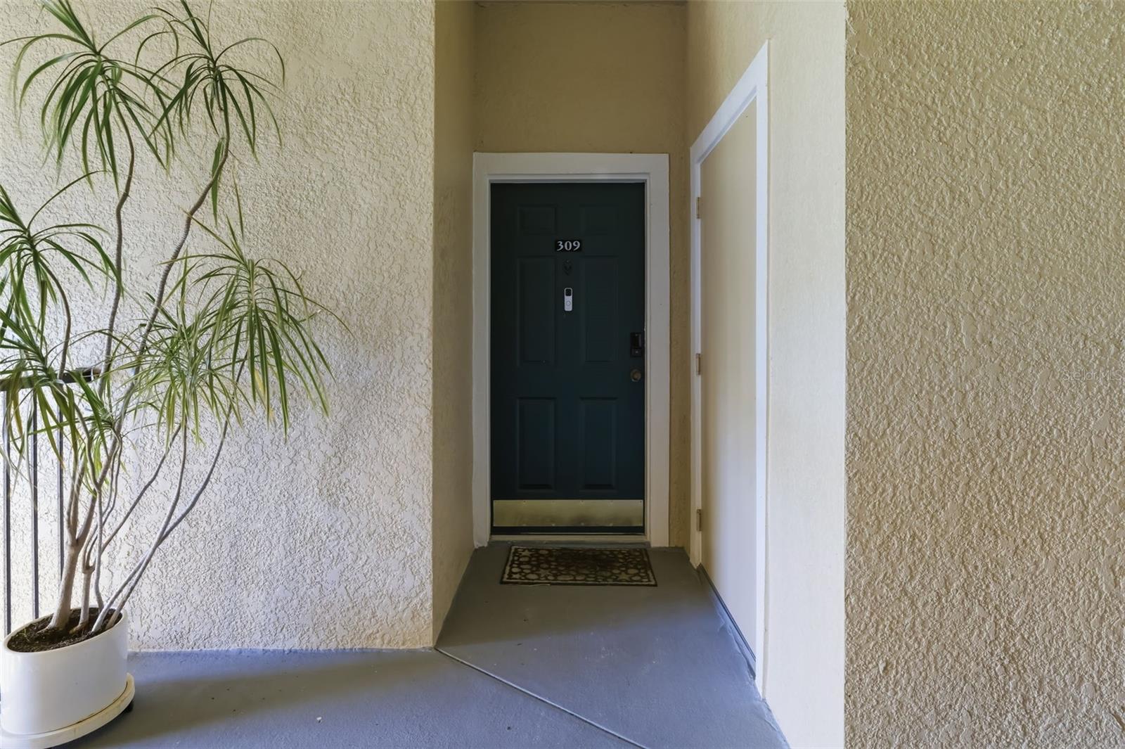 SERENADE ON PALMER RANCH - Residential