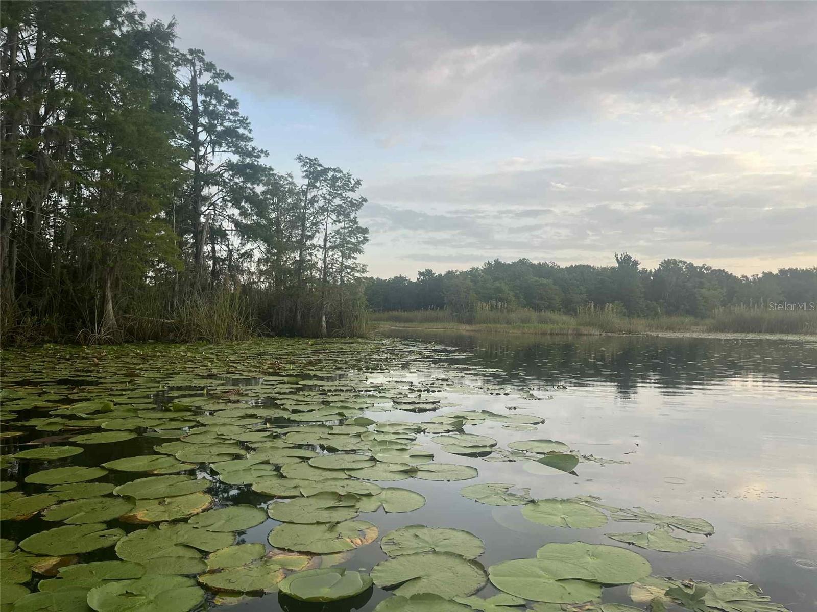 CYPRESS SHORES UNREC - Land