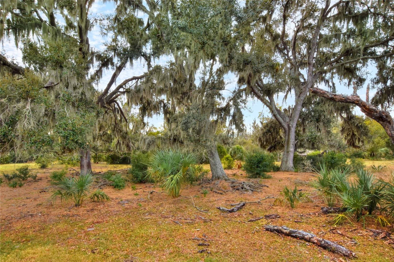 UNPLATTED - Land