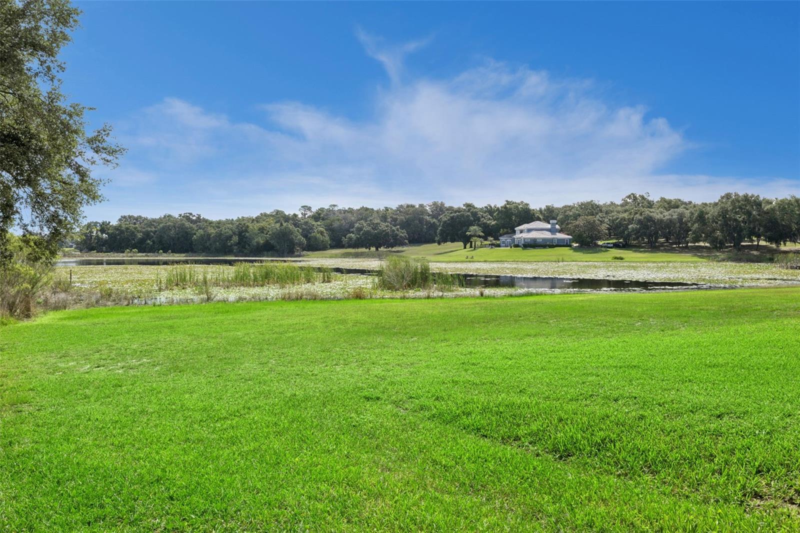 ACREAGE - Residential