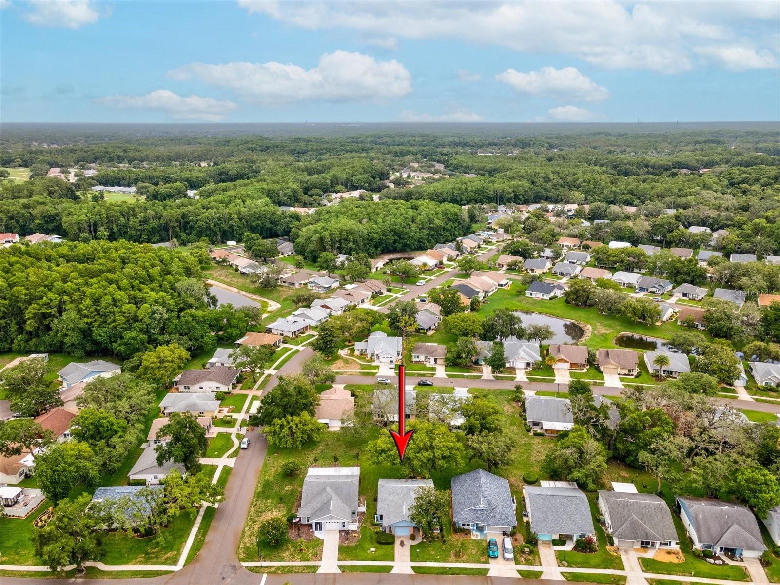 ARBORWOOD AT SUMMERTREE - Residential