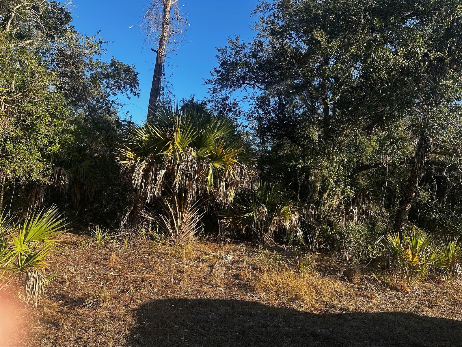 Craving space and flexibility? This is your opportunity to own a buildable lot in a growing area of North Port, located in a desirable X flood zone. With plenty of room to design the home you’ve been dreaming of, this property offers both privacy and potential. The neighboring lot is also available from the same owner, giving you the option to create nearly half an acre of buildable space. Enjoy convenient access to shopping, dining, schools, and everyday amenities, with Gulf Coast beaches just a short drive away. A great option for building now or holding as an investment—reach out today for more details!