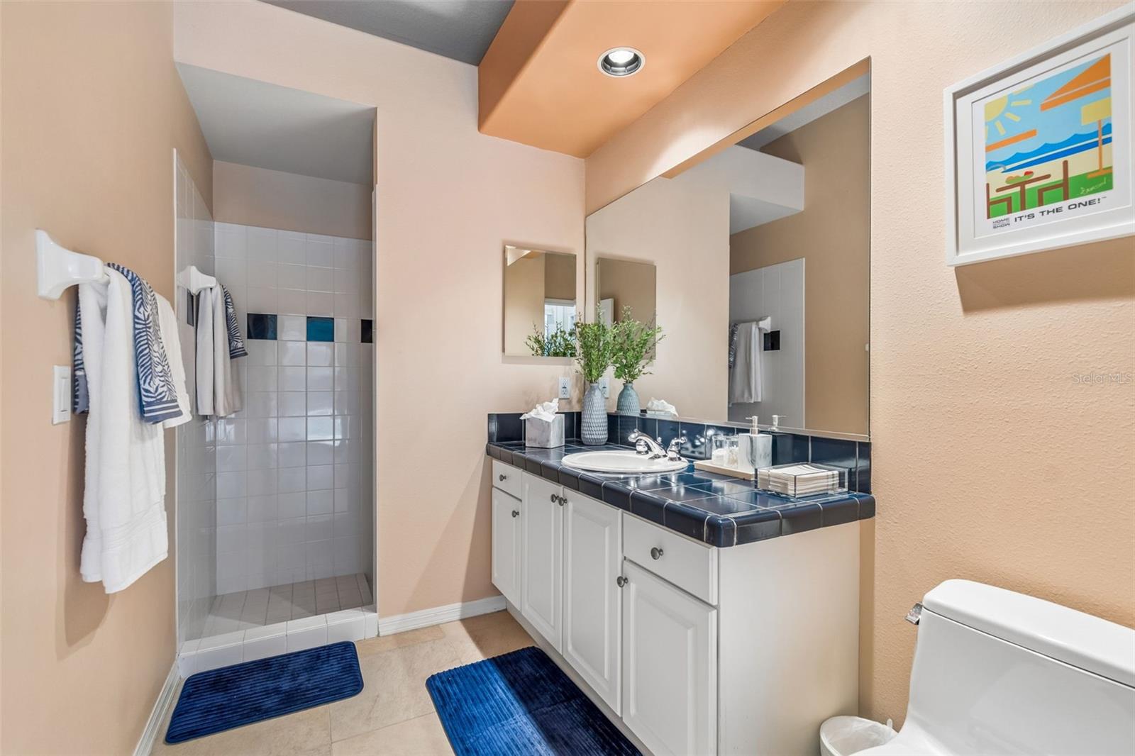 VILLAROSA PH 1C - Residential