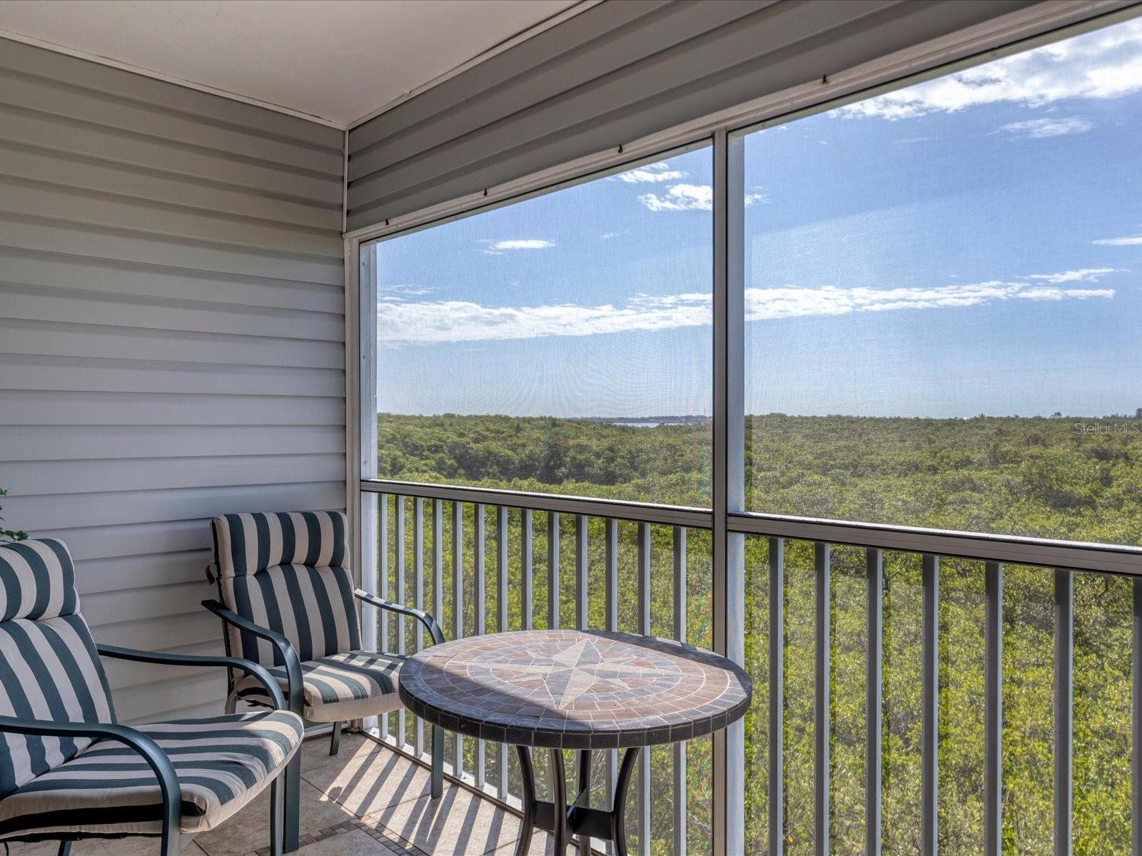 Don't miss this opportunity to LIVE 2 1/2 Blocks to Holmes Beach & be close to many of Manatee County's beautiful beaches, including Anna Maria. Spacious and bright 2 bedroom, 2 bath condo with Water Views. This amazing unit features a carport and two storage areas. Updated Kitchen & Baths, Vinyl Plank floors, and lovely furnishings or Unfurnished. Relax and enjoy the Gulf, Preserve & Intercoastal views from the screened balcony. High Ceilings, Granite counters, Stacking full size washer & dryer in the Kitchen, plus Pantry closet. The Primary Bedroom features a Queen size bed, Walk in closet, and Ensuite bathroom. The second bedroom has twin beds and a large closet. The living room and dining room have views across mangroves to Intracoastal Waterway. Carport is deep with extra storage for beach chairs, bicycles, and more. The community has a Heated Saltwater Pool. Publix shopping center & Trolley stop right across the street to all of the beaches & restaurants.
