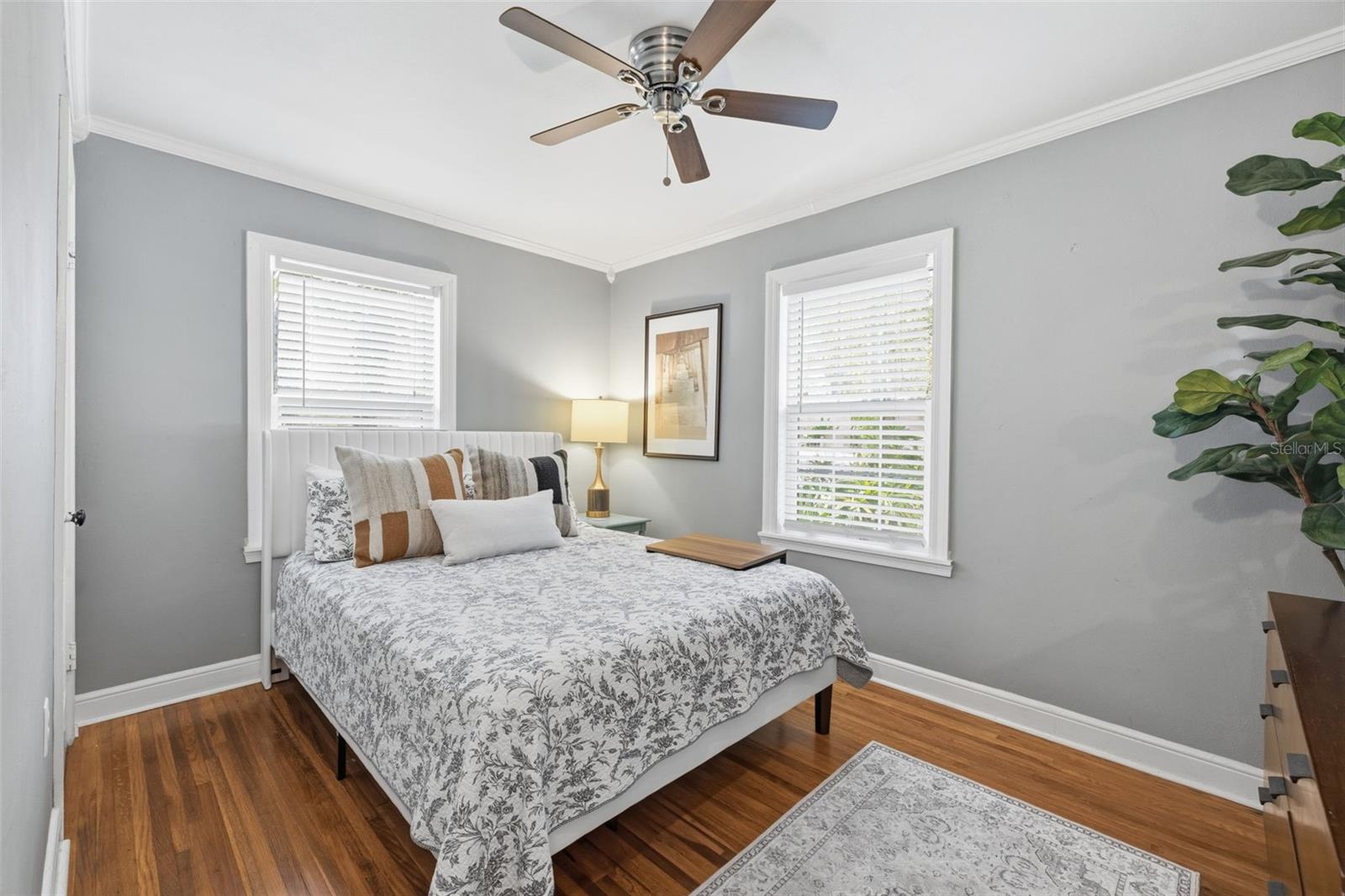 HAMPTON TERRACE - Residential