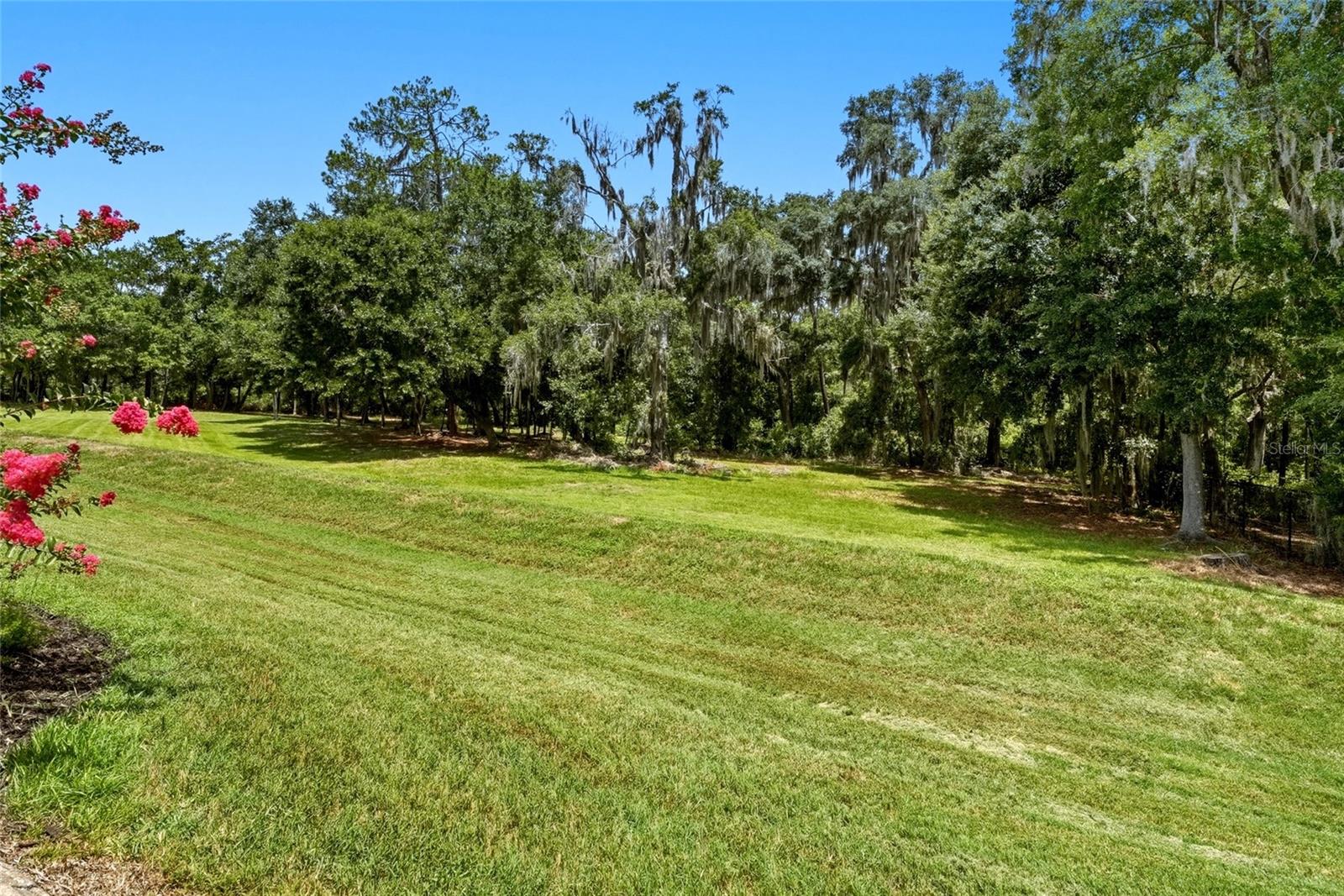 HAWKS RIDGE - Residential