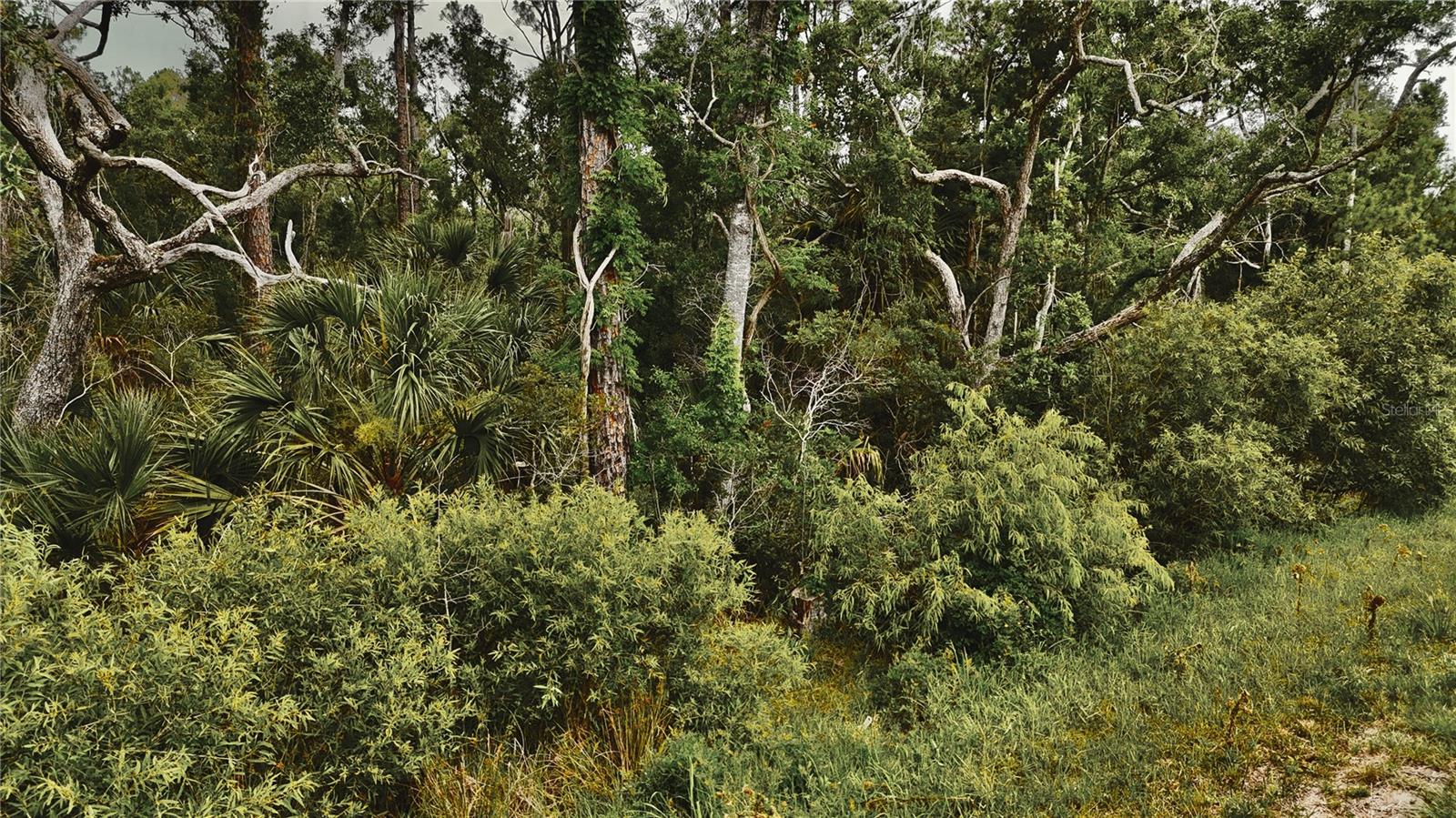 ISLE/PALMS - Land