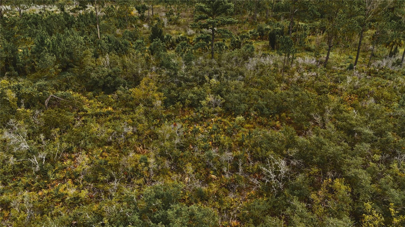 ISLE/PALMS - Land