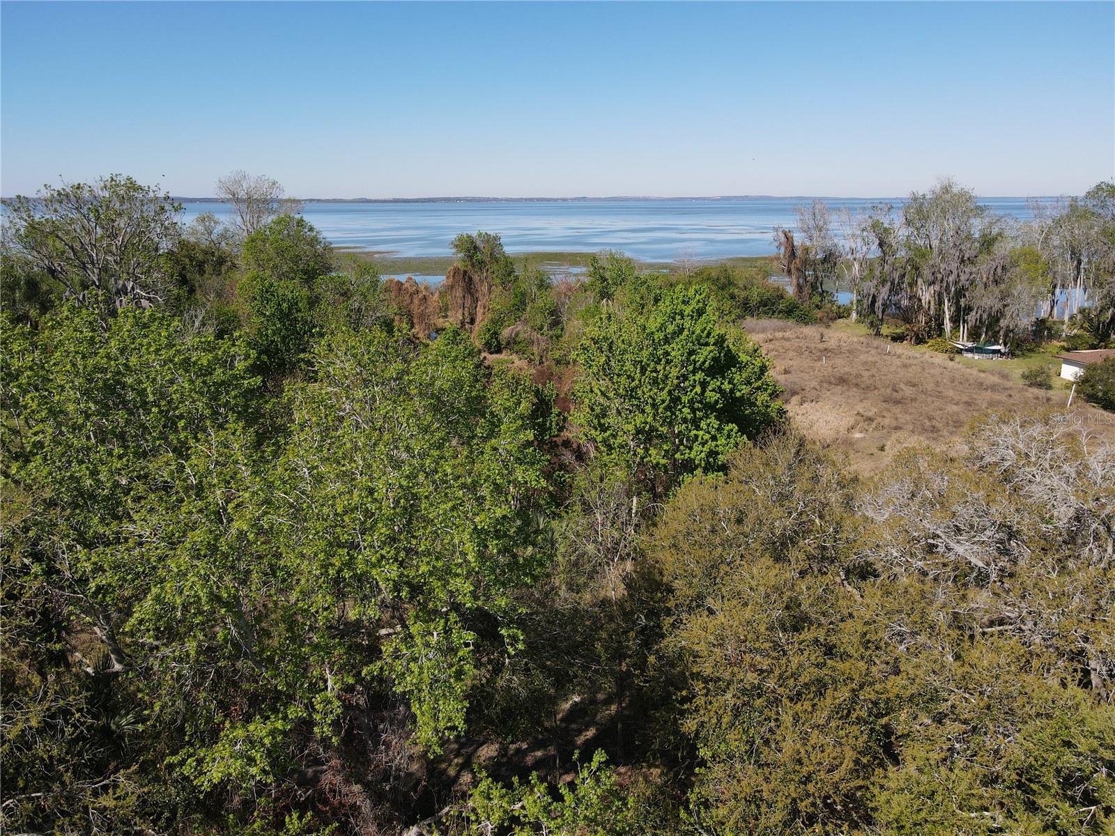 Are you looking for a perfect place to build your dream home? Look no further than this expansive open space, featuring stunning lakefront sunsets over Lake Apopka, one of the largest and most beautiful lakes in Central Florida. This 3.0 acre lot offers breathtaking views of true Florida it's surrounding nature, as well as access to fishing, boating, and wildlife watching. You will enjoy the tranquility and privacy of this lot, while being close to the amenities and attractions of Winter Garden, a charming and historic city with a vibrant downtown, farmers market, and festivals.  Winter Garden boasts premier dining, shopping, and top-rated schools.  An unparalleled blend of land, location, and lifestyle.  Experience true freedom from HOA or CDD fees and restrictions. Don't miss this rare opportunity to own a piece of paradise on Lake Apopka!  Bring your own builder and create a custom masterpiece in this highly sough after location, and take advantage of the luxury of expansive open space and the upscale charm of Winter Garden.  Sample site plan, with wetland impact, available upon request.