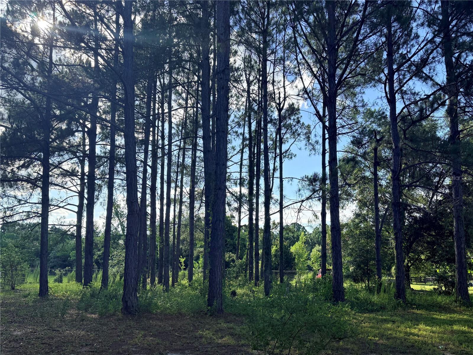 DOGWOOD ACRES - Residential