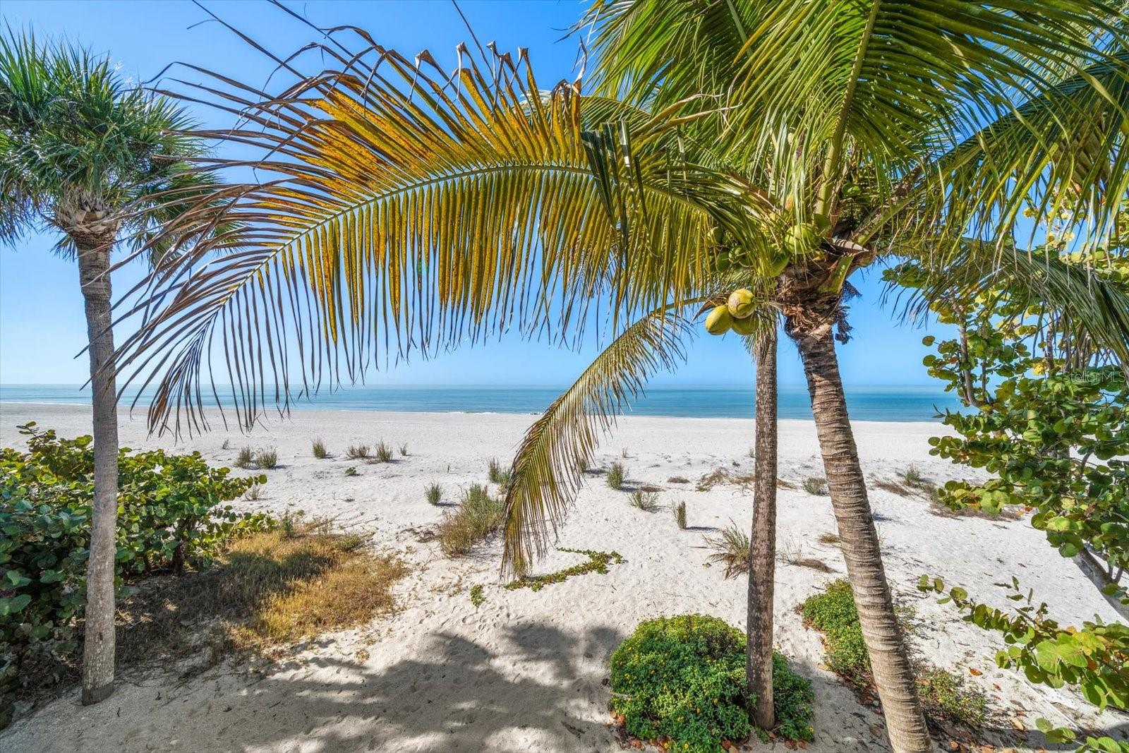 SEE NEW SURVEY WITH NEW EROSION CONTROL LINE and SET BACKS. See Photos with NEW BOUNDRY STAKES. THE LOWEST PRICED BEACH FRONT LOT ON SUNSET BEACH. BUY NOW, BUILD LATER!!!  SECURE YOUR BEACHFRONT LOT ON SUNSET BEACH TODAY! Ready to exchange snowdrifts for sand dunes & coconut palms? This Elevated Beach House has amazing Beach views & an incredible location, directly on the sand on the Gulf of Mexico. Located in the eclectic neighborhood of Sunset Beach.  Feel the Boho Vibes with artistic accents, white washed walls & bamboo floors.  This well-maintained beach house has an open floor plan throughout to invite the water views inside. A gleaming kitchen with solid wood cabinets, cooking island, breakfast bar & pantry. The main level bathroom adorned with a mesmerizing floor to ceiling mural entitled Mermaid Dreams.  Each bedroom has vaulted ceilings & an ensuite bathroom.  A private balcony completes the owner’s suite. The second living room could easily be converted into an additional bedroom if needed. If you were made for outdoor beach living, this house was made for you.  Love was poured into the multi-level circular decks & grand staircase which pull you towards the white sands and turquoise waters of the Gulf. Come to Sunset Beach where the Sunset is celebrated daily, your sunglasses are your most important accessory & your neighbors become your friends.  A freshly Re-nourished beach awaits your arrival. Feature sheet, operating expenses, Survey, elevation certificate & aerial video available on the virtual tour.