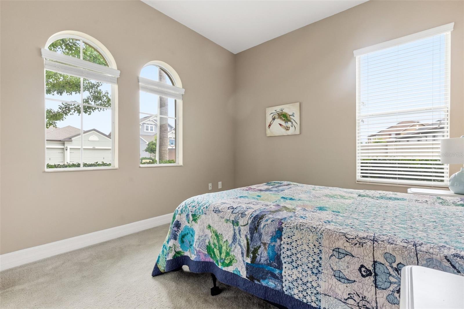 MEADOW POINTE IV PARCEL AA - Residential