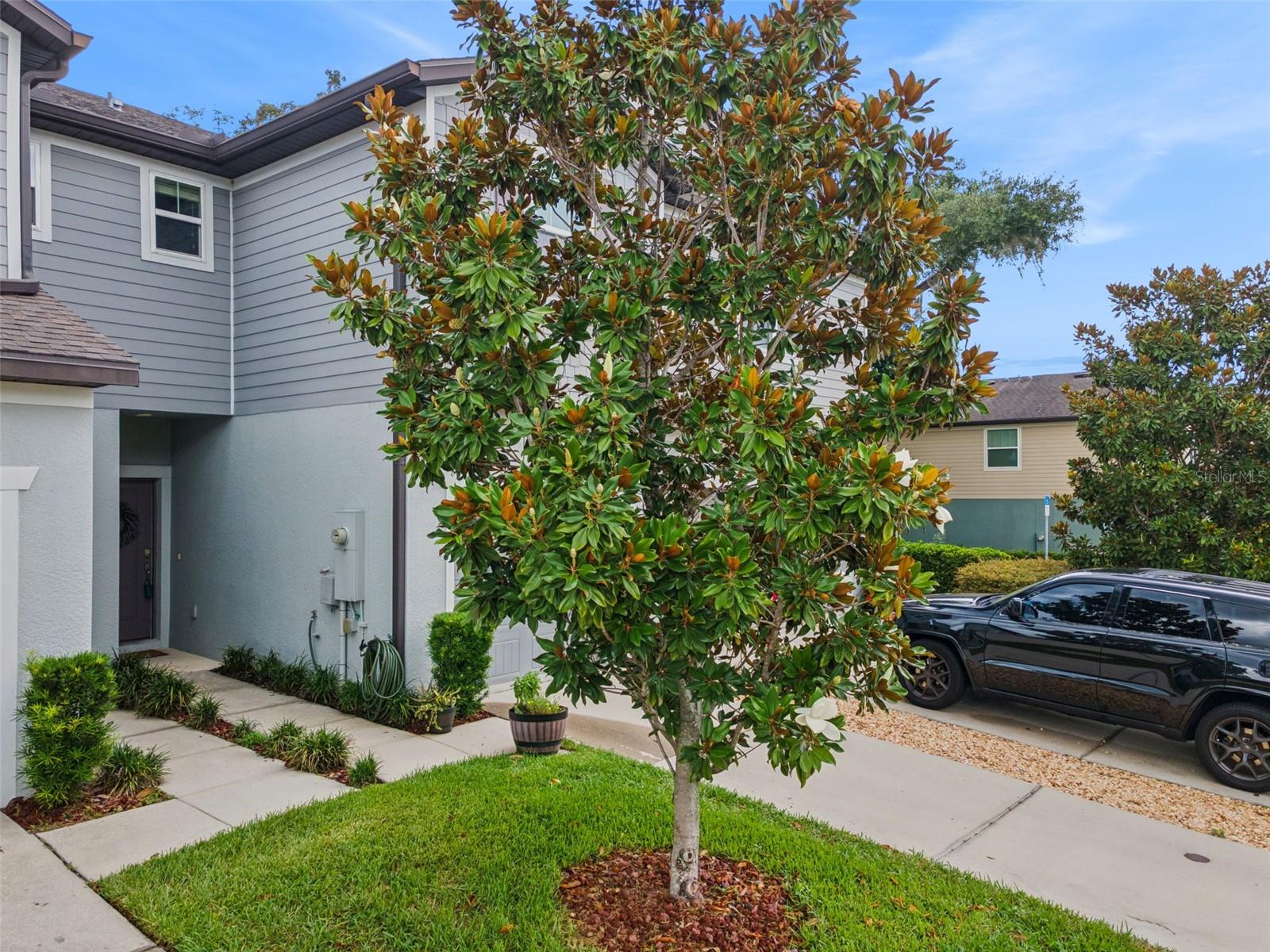 REGO PALMS - Residential