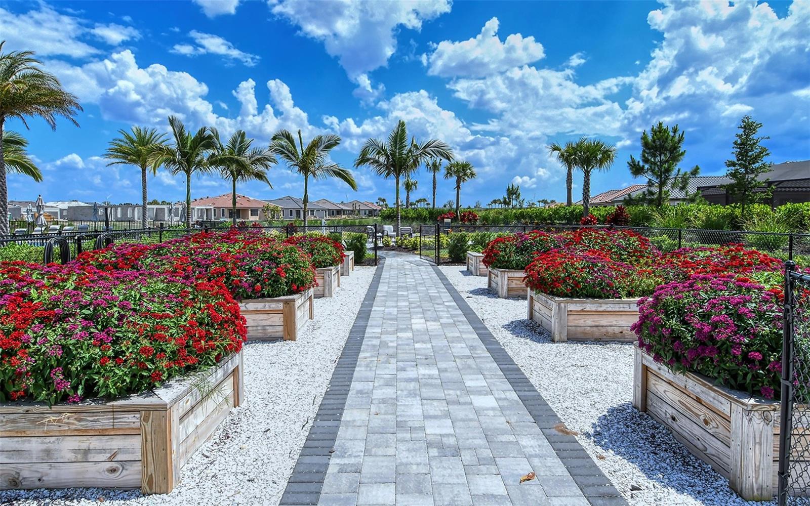 AZARIO ESPLANADE PH II SUBPH A, B & P - Residential