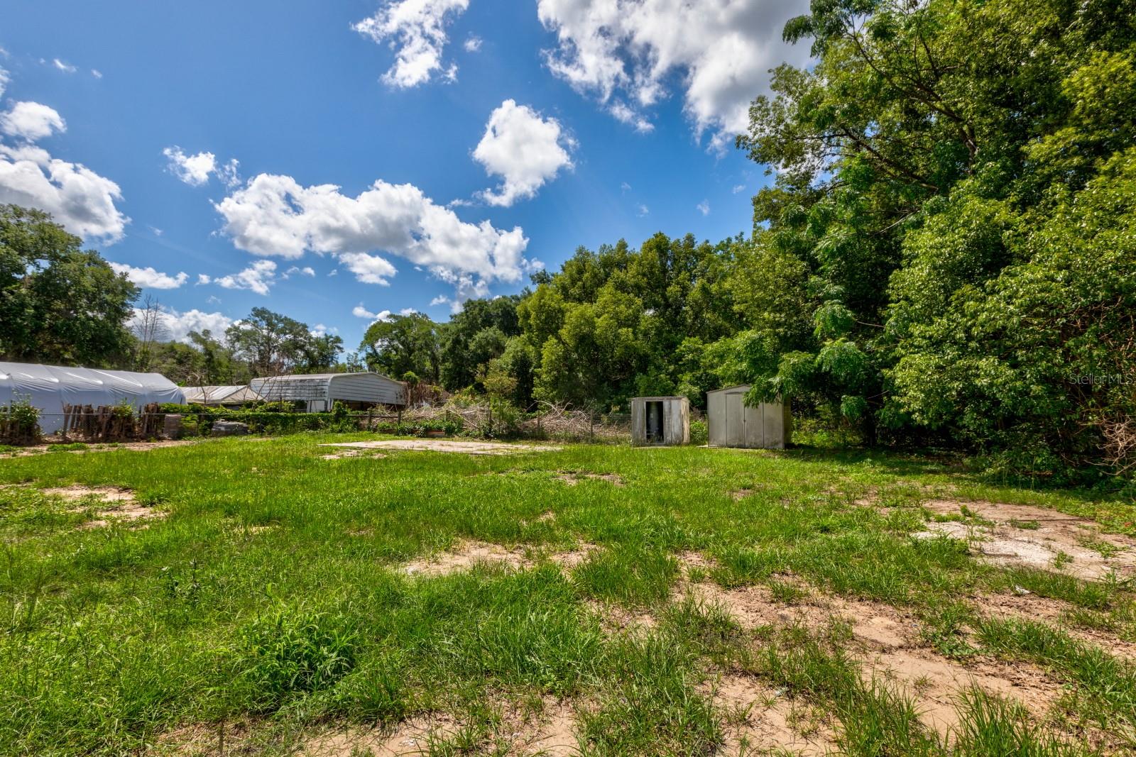 LAKE GRIFFIN HIGHLANDS - Residential