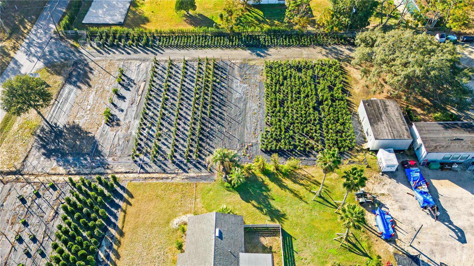 LAKE AVALON GROVES REP - Commercial Sale