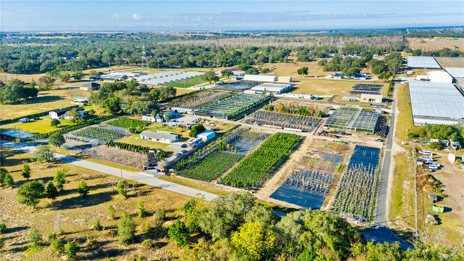 LAKE AVALON GROVES REP - Commercial Sale