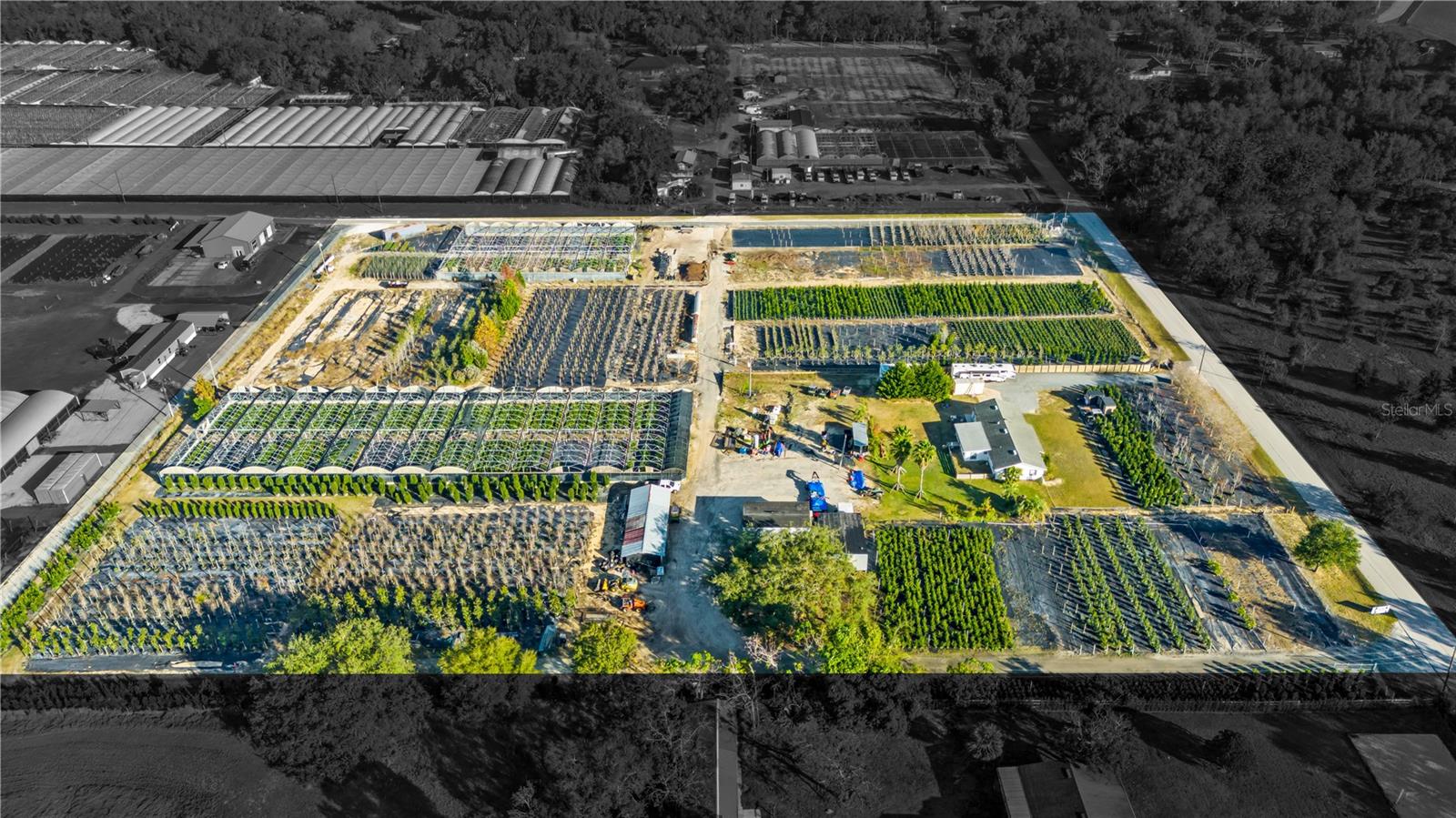 LAKE AVALON GROVES REP - Commercial Sale