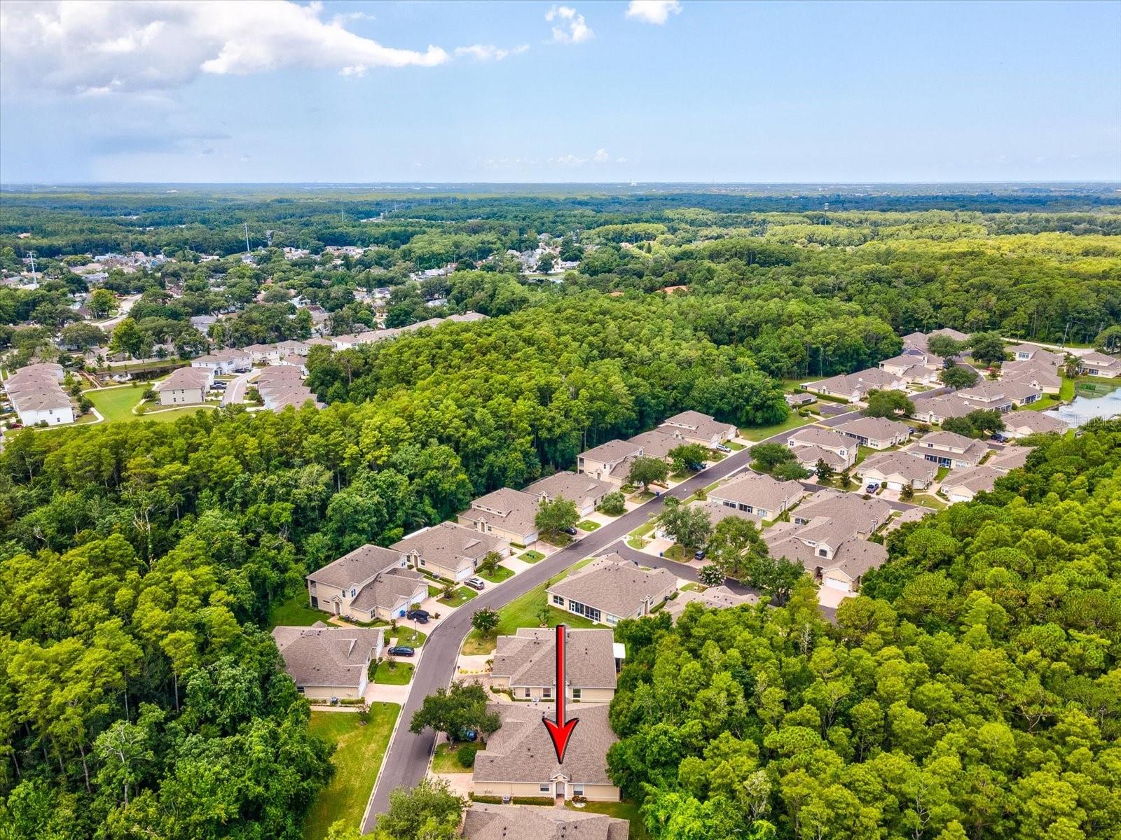 BRIAR PATCH VILLAGE 07 SPGS PH 02 - Residential
