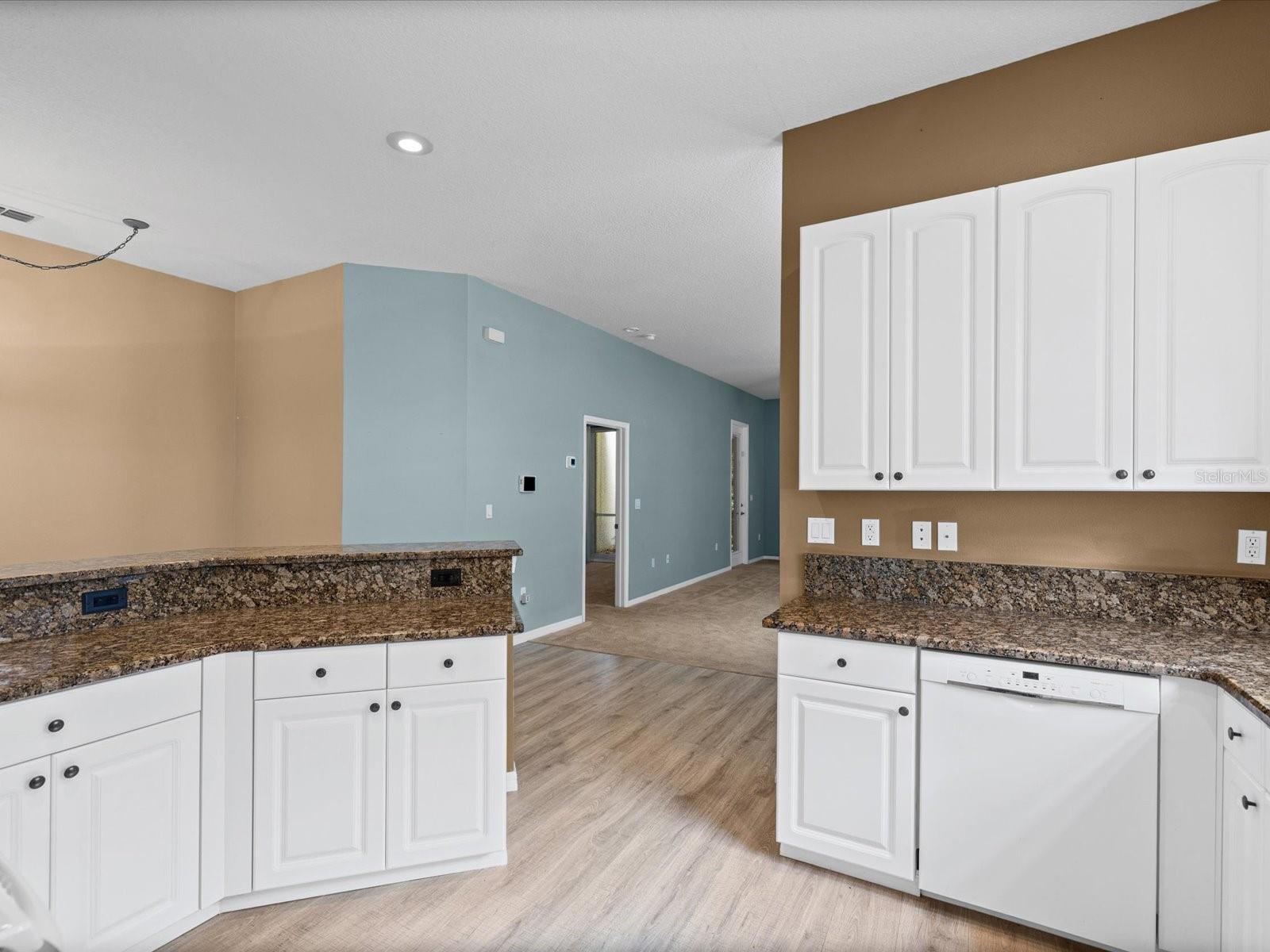 BRIAR PATCH VILLAGE 07 SPGS PH 02 - Residential