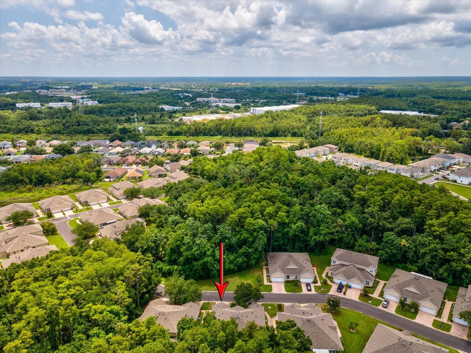 BRIAR PATCH VILLAGE 07 SPGS PH 02 - Residential