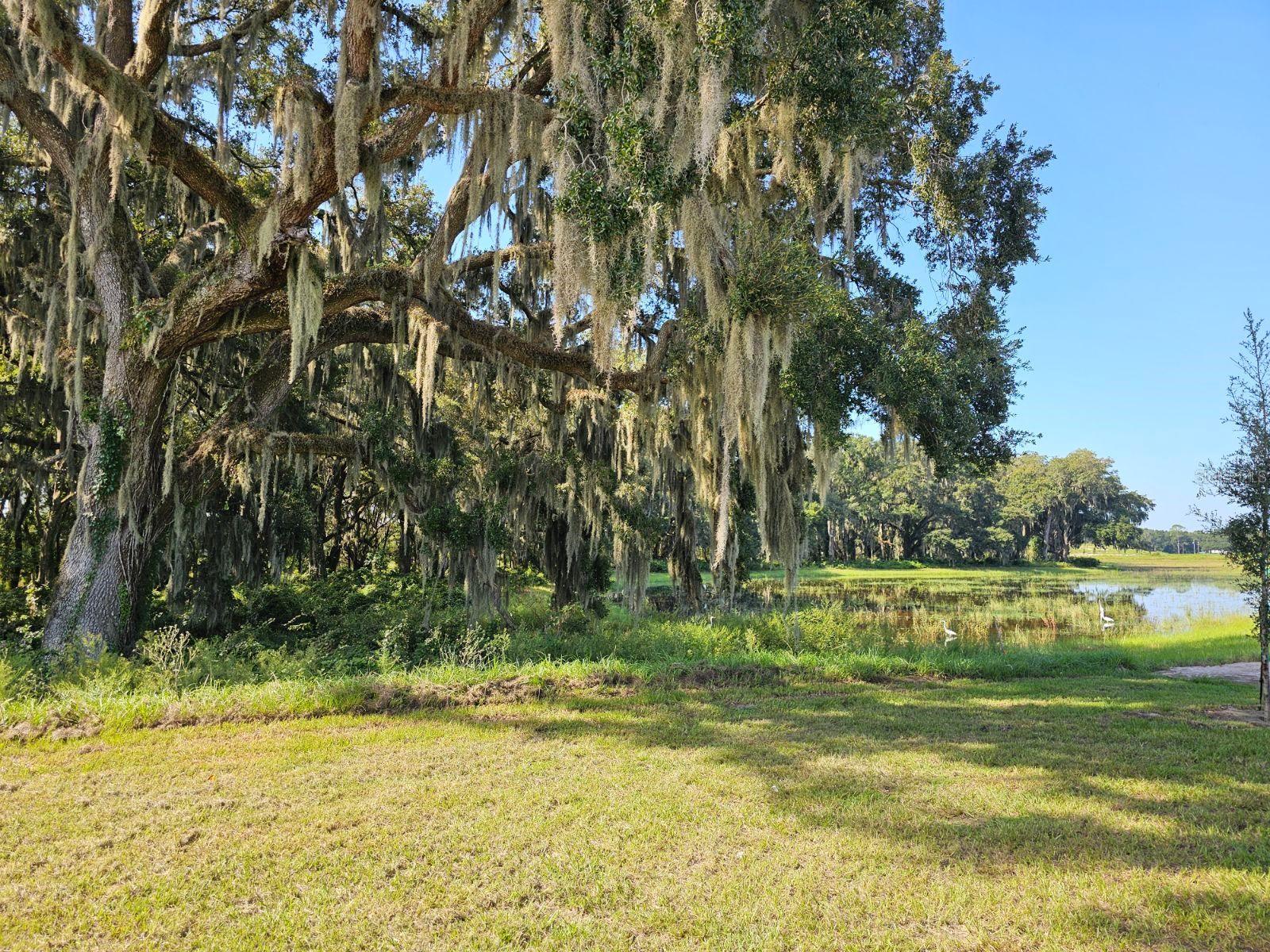 TWISTED OAKS - Residential