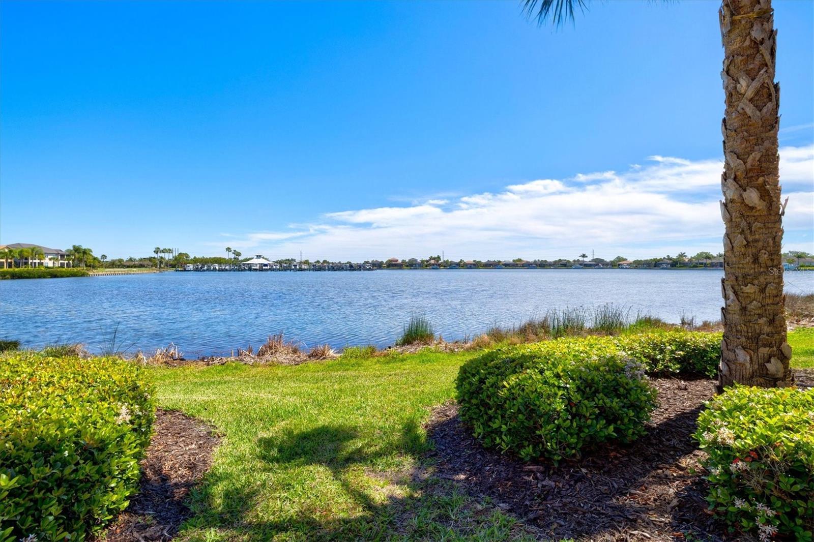 THE LAGOON AT TIDEWATER PRESERVE - Residential