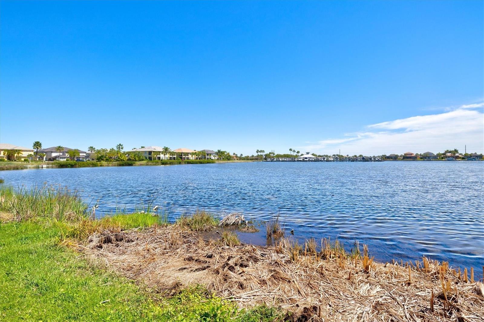 THE LAGOON AT TIDEWATER PRESERVE - Residential