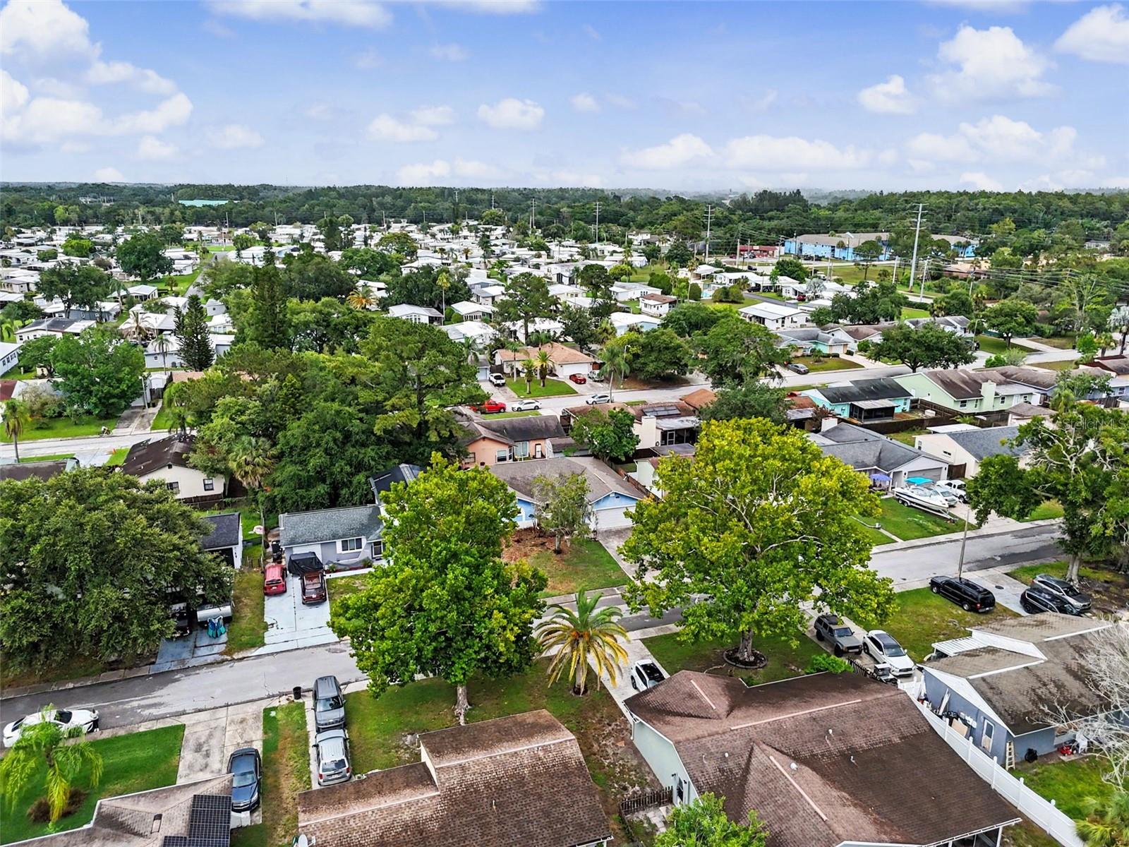 MEADOWS - Residential