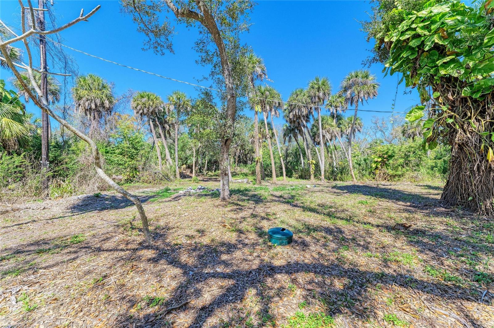 ARTIST ACRES - Residential