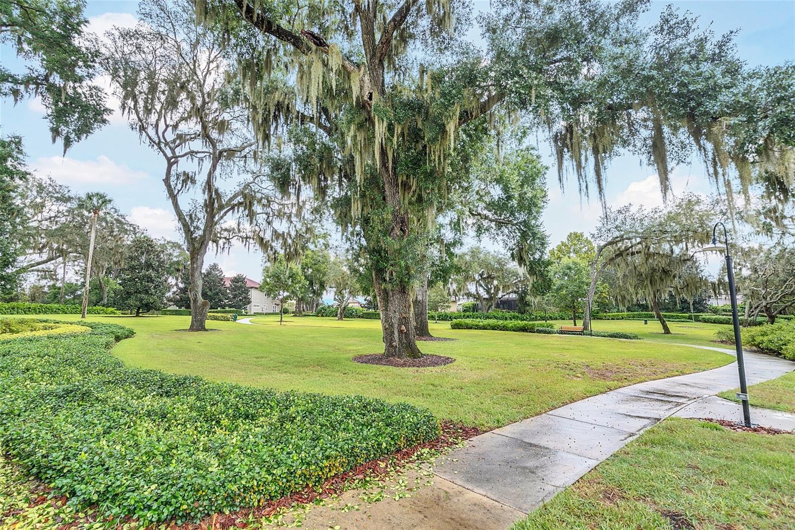 STEEPLE CHASE - Residential