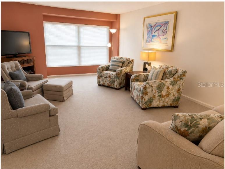 MOUNT DORA SUMMIT PLACE CONDO - Residential