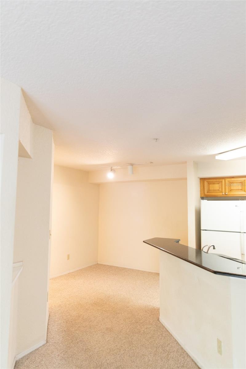 BONA VISTA CONDO - Residential Lease