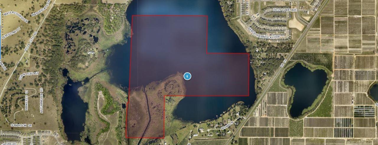Explore the vast potential of this 218.71-acre agricultural property along SR-19 in Groveland, Florida (34736). "Zoning: A" With expansive open land, Whether you’re looking to invest in productive farmland or establish a private agricultural estate, this sizeable property presents a rare opportunity to own a significant piece of Florida land.Pin Location: Latitude 28.60184830, Longitude -81.85109199. Note: buyers I emphasize the importance of conducting thorough due diligence to ensure that the property meets your expectations and requirements.