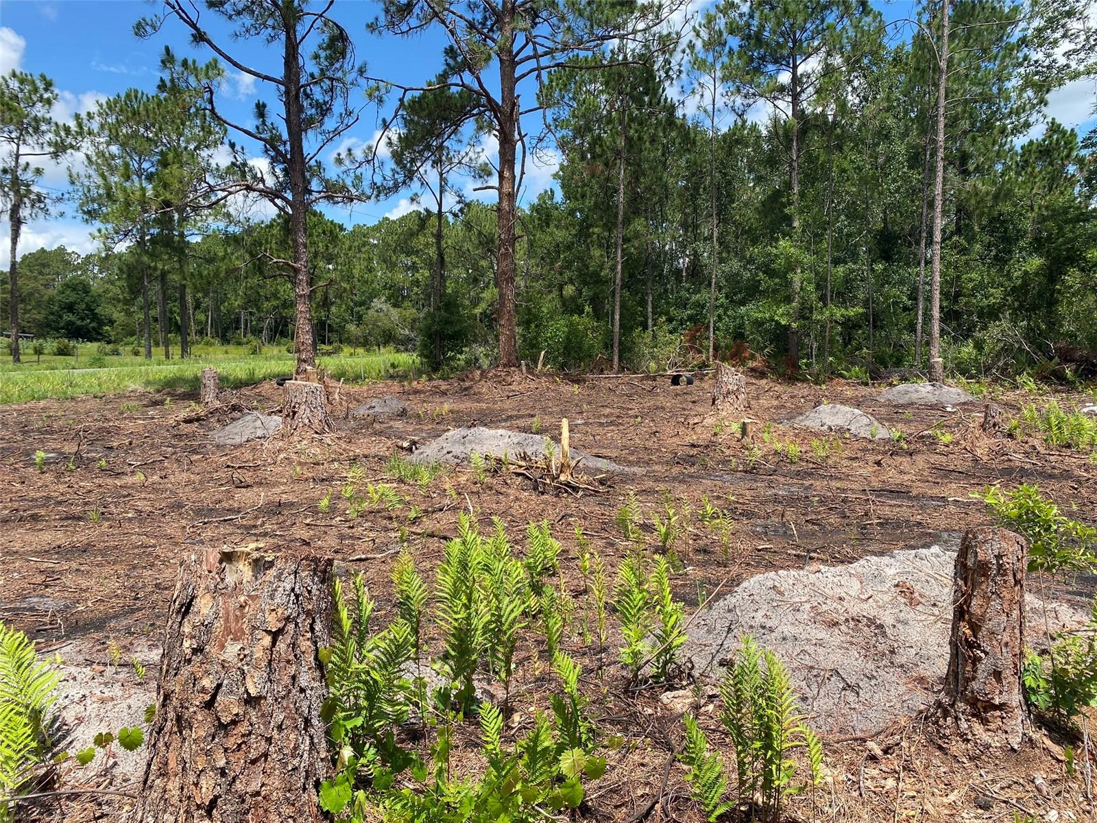 OAK RIDGE ESTATES - Land