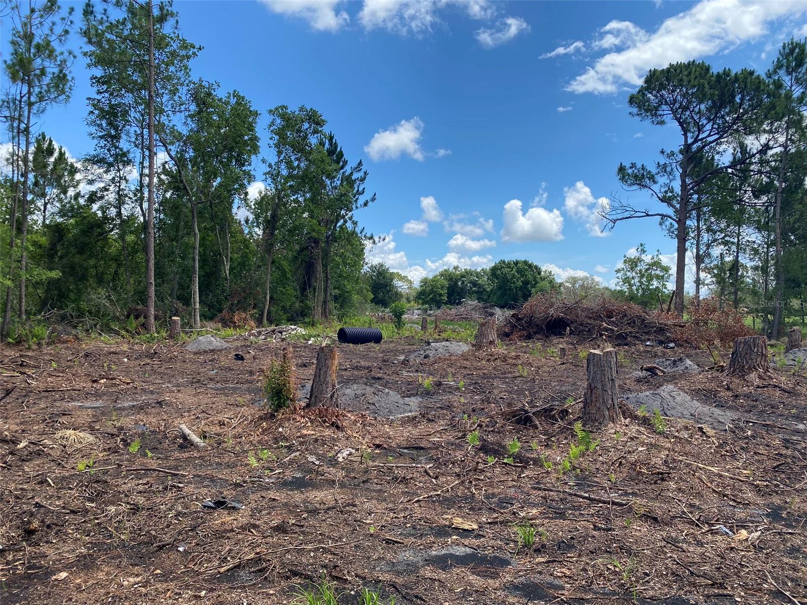 OAK RIDGE ESTATES - Land