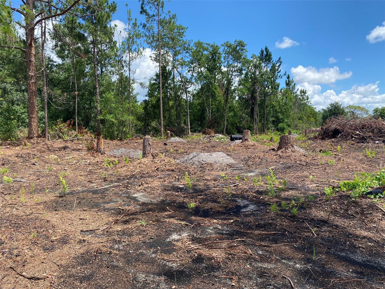 OAK RIDGE ESTATES - Land