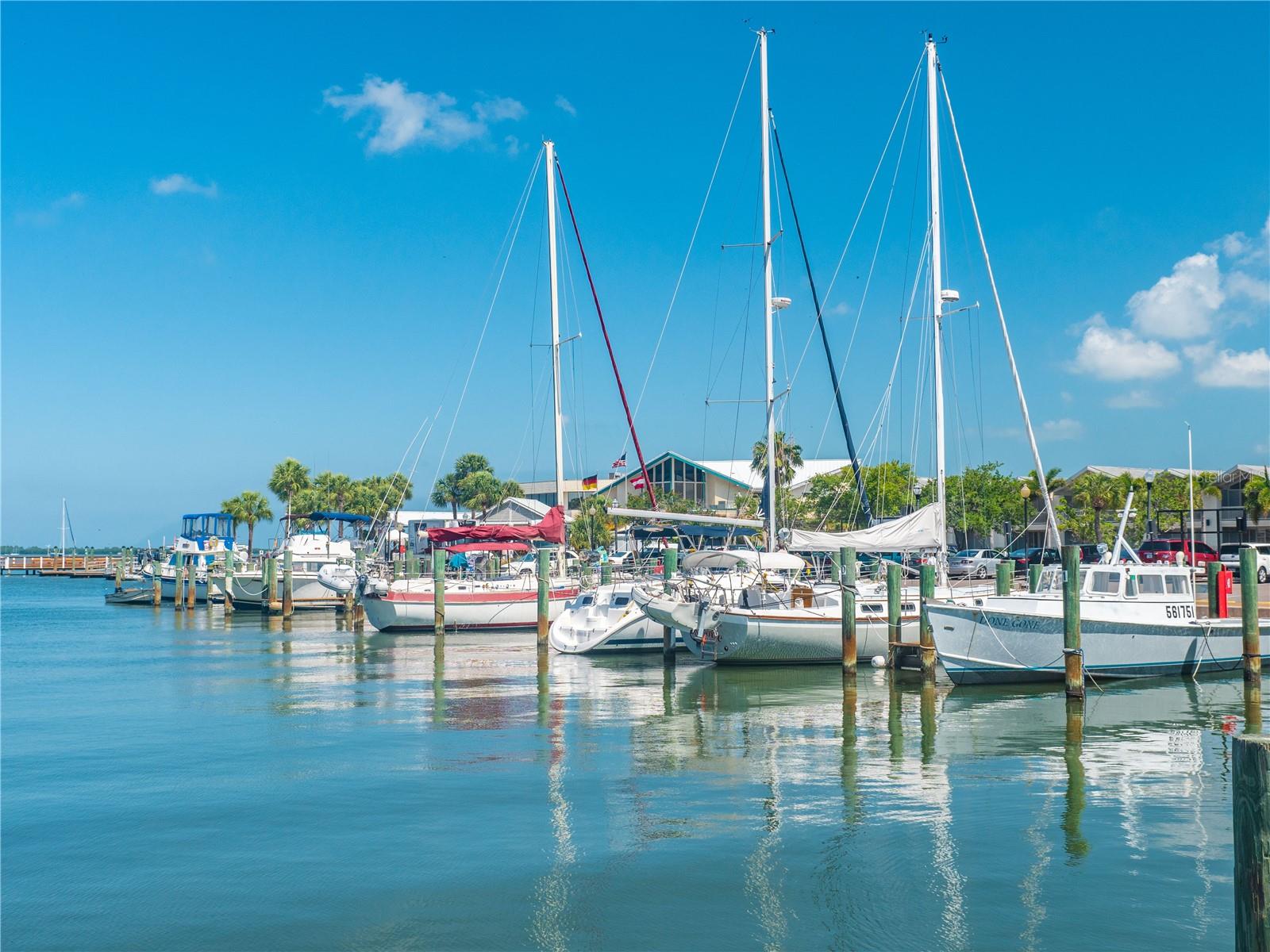 DUNEDIN TOWN OF - Residential