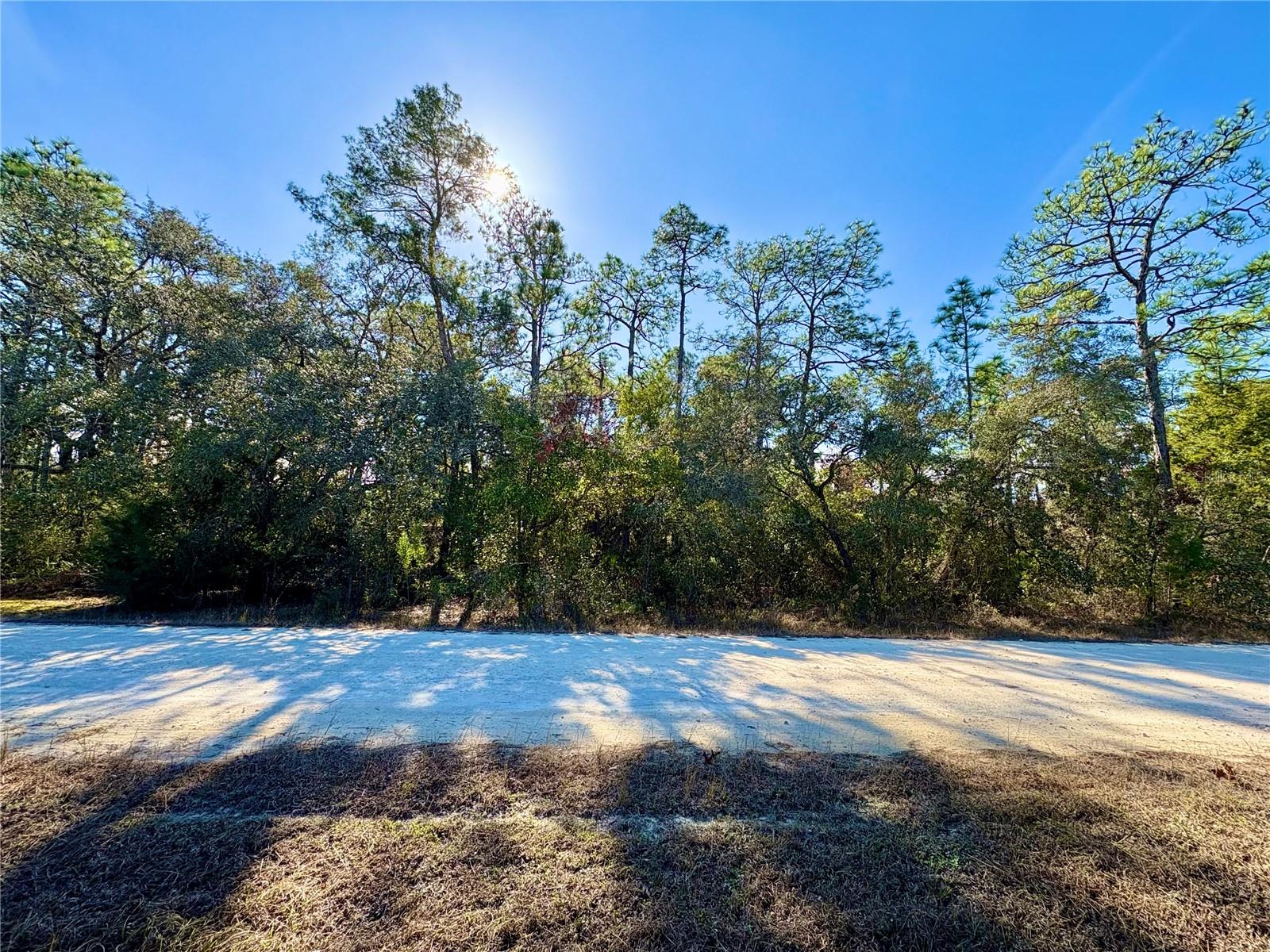 Beautiful 1.80+ acre private wooded homesite located in the lovely Evans Lakeside Heights adjacent to Royal Highlands. This high-and-dry flood zone X residential lot offers a peaceful, natural setting with ample space and privacy, ideal for building your dream home. Conveniently situated near all major area amenities including shopping, schools, dining, entertainment, and medical facilities. Enjoy easy access to Florida's outdoor lifestyle with nearby saltwater fishing in the Gulf as well as pristine freshwater rivers and natural springs. A perfect blend of seclusion and accessibility, don't miss this exceptional opportunity.