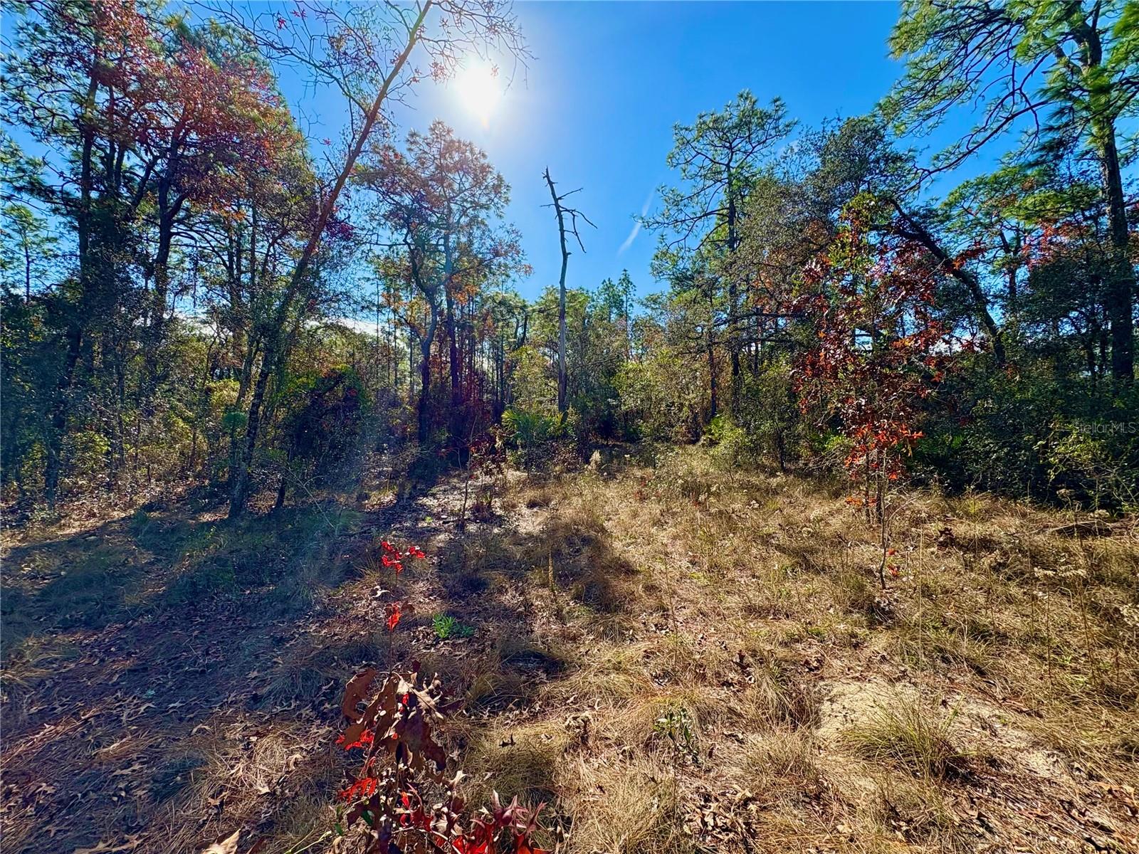 EVANS LAKESIDE HEIGHTS - Land