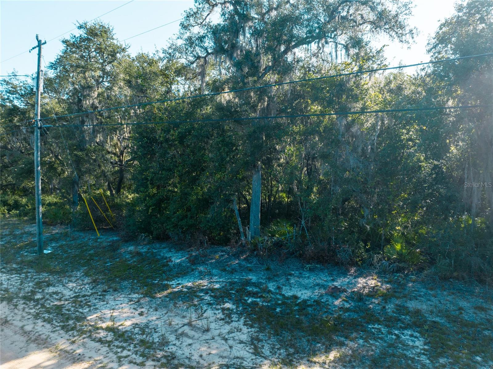 BIG TREE LAKES SEC C - Land