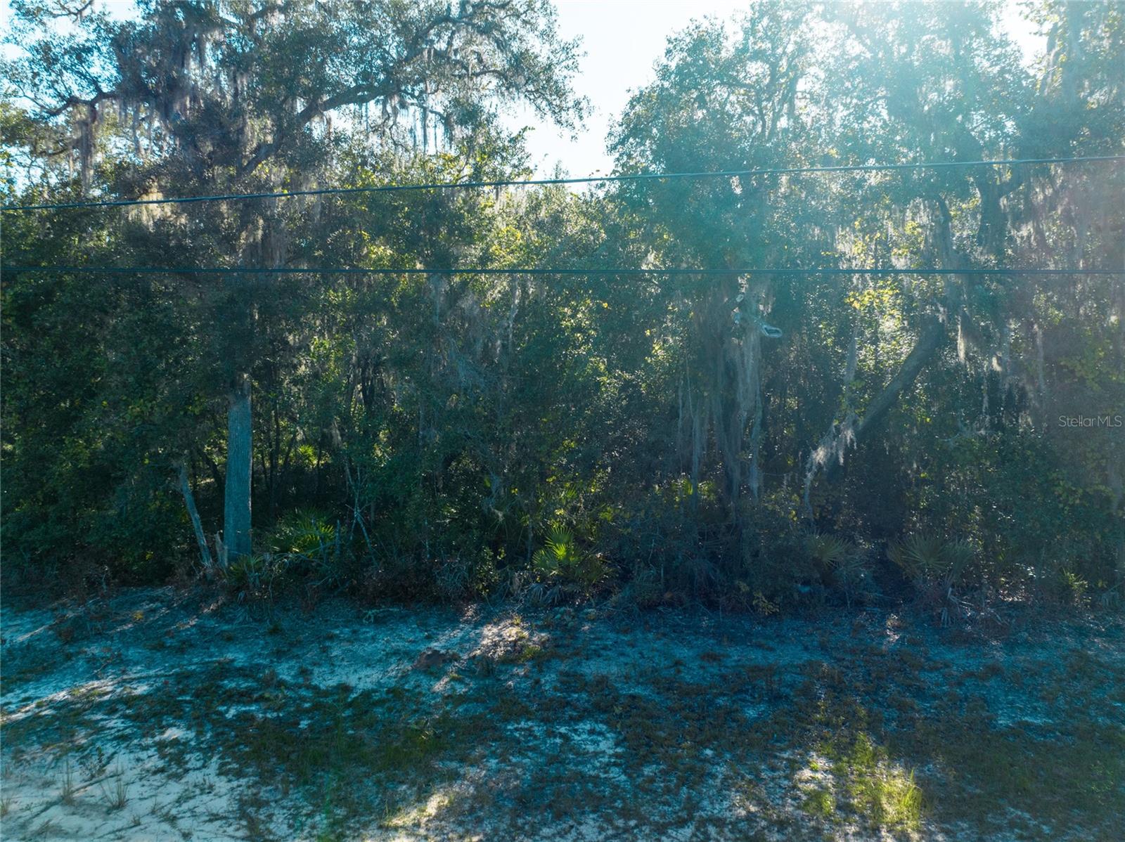 BIG TREE LAKES SEC C - Land