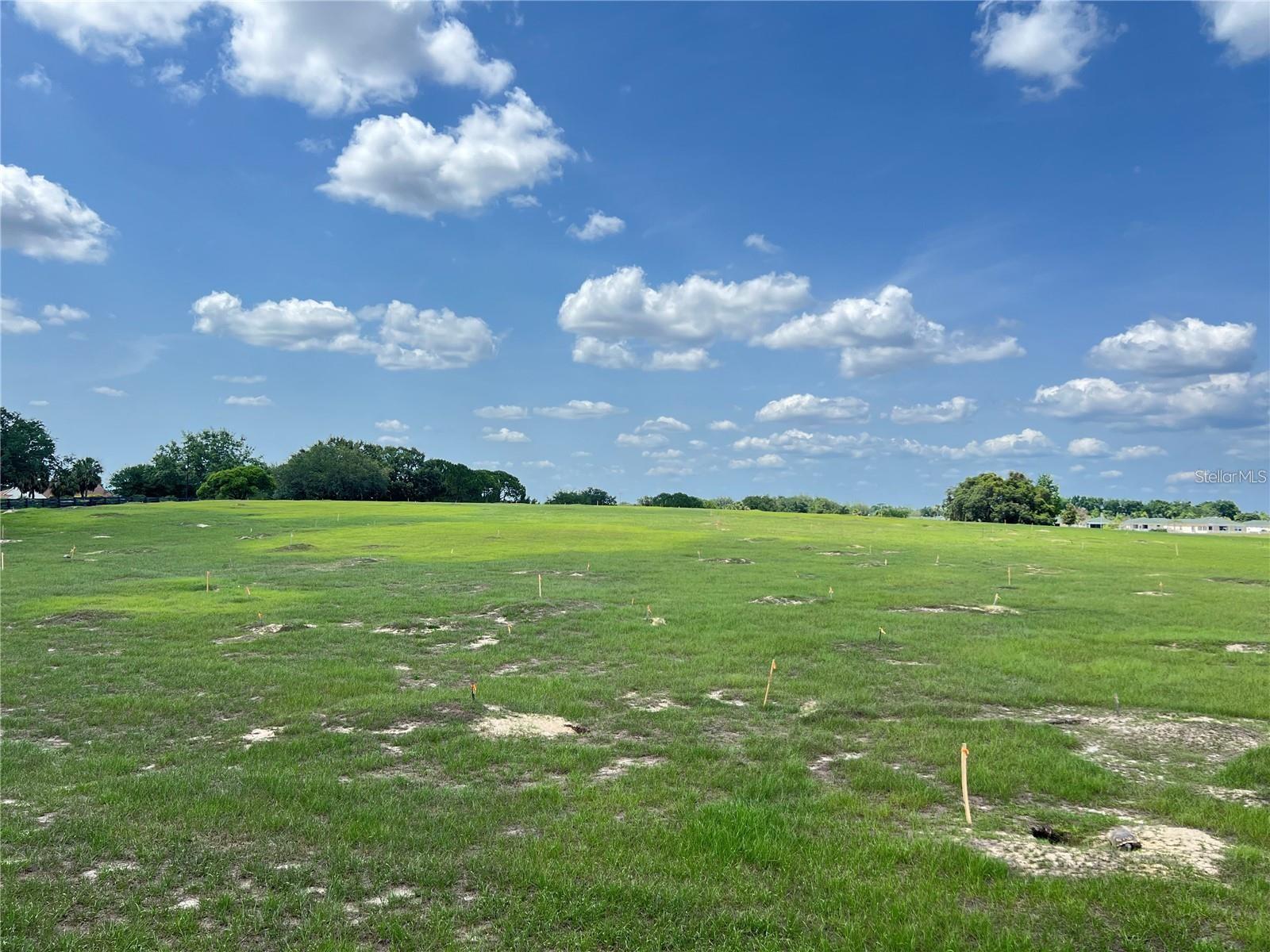 VILLAGES OF SUMTER VILLA SAN LEANDRO - Residential Lease