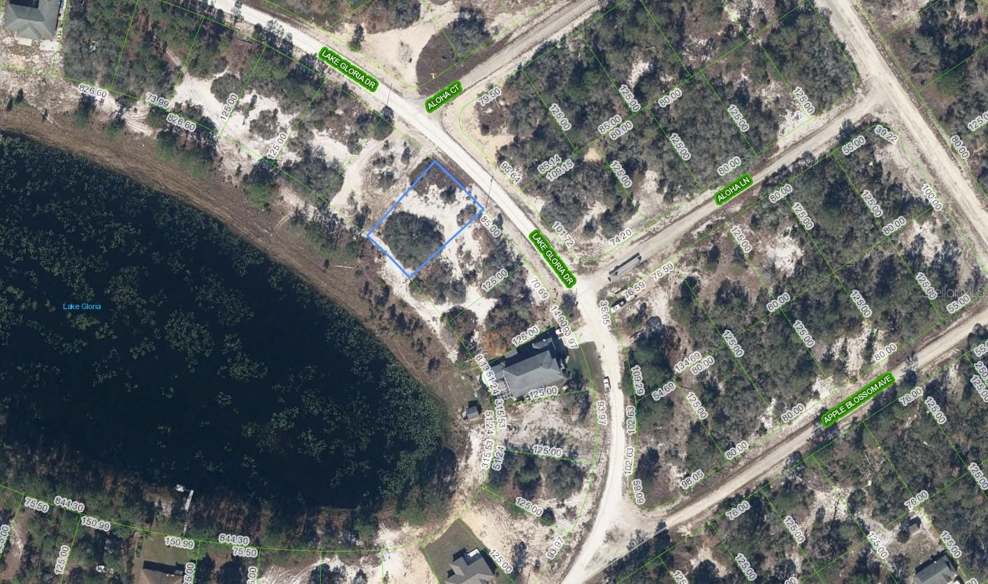Lakefront Lot on Lake Gloria — Sun N Lakes, Lake Placid

Just shy of a quarter acre, this lakefront lot is the ideal spot to build your new home or an excellent investment property. Seize the opportunity to own affordable lakefront living on Lake Gloria in Sun N Lakes.